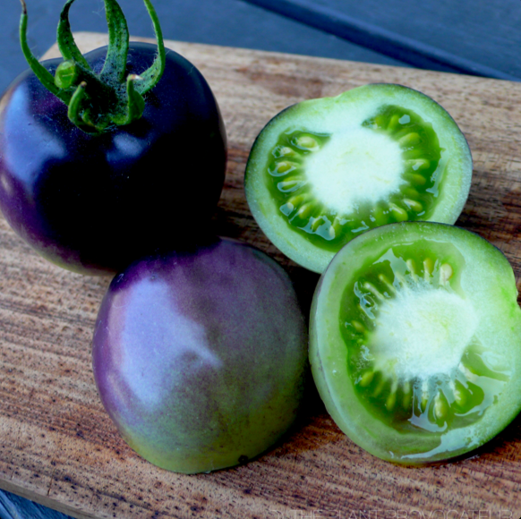 TOMATO 'Bosque Blue'