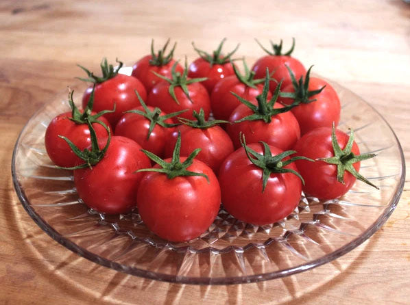 TOMATO 'Doucet Plum'