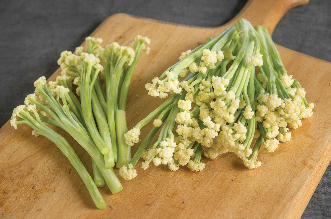 CAULIFLOWER 'Fioretto 60'