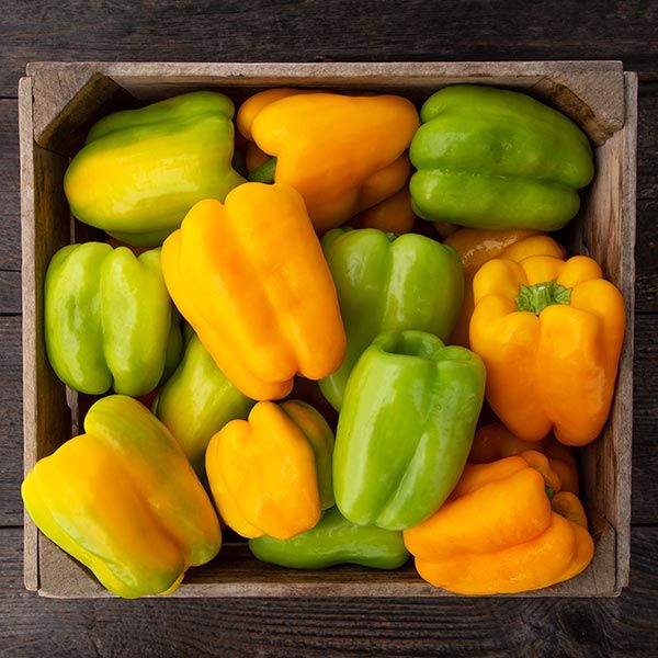 PEPPER 'Flavorburst'