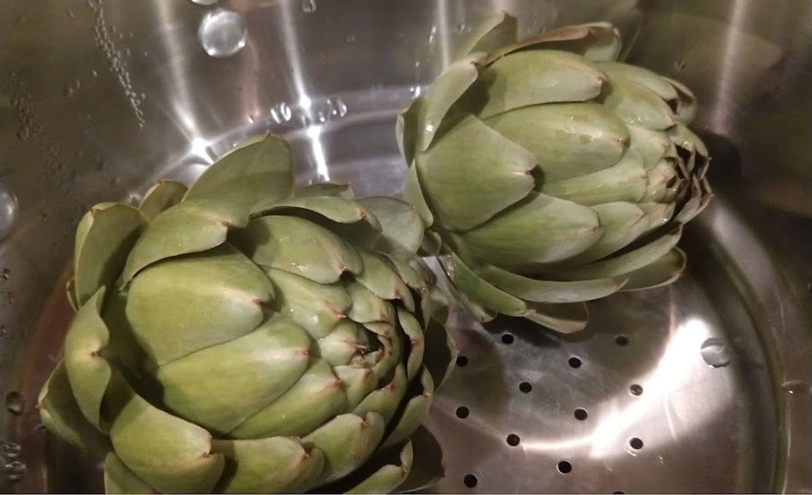 ARTICHOKE 'Green Globe'