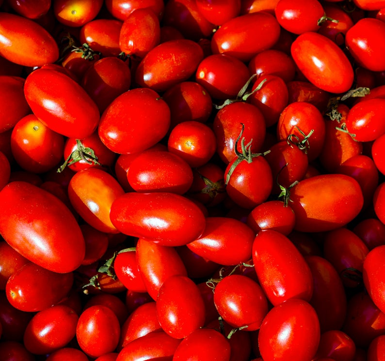 TOMATO 'Honey Bunch'