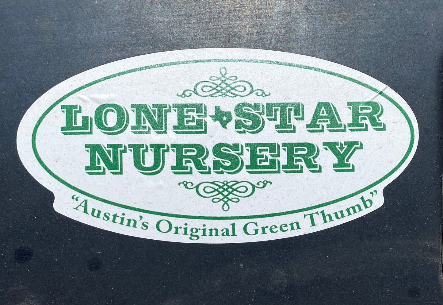 LSN VINYL STICKER - Green and White