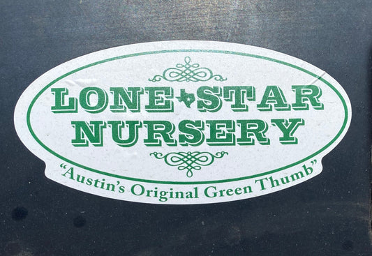 LSN VINYL STICKER - Green and White