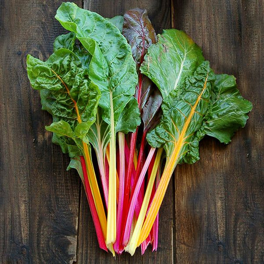 CHARD 'Improved Rainbow'