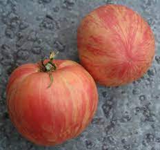 TOMATO 'Red Furry Boar'
