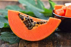 PAPAYA --Carica papaya--