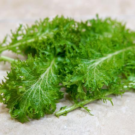 MUSTARD GREENS 'Wasabina'