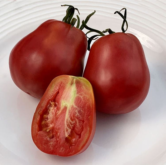 TOMATO 'New Zealand Paste'