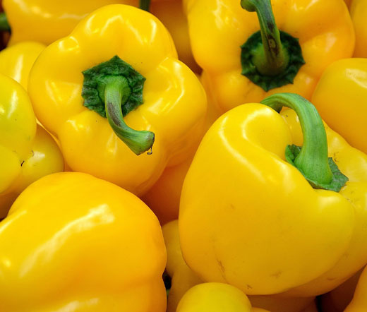 PEPPER 'Golden California Wonder'