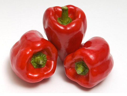 PEPPER 'Peacework Sweet'
