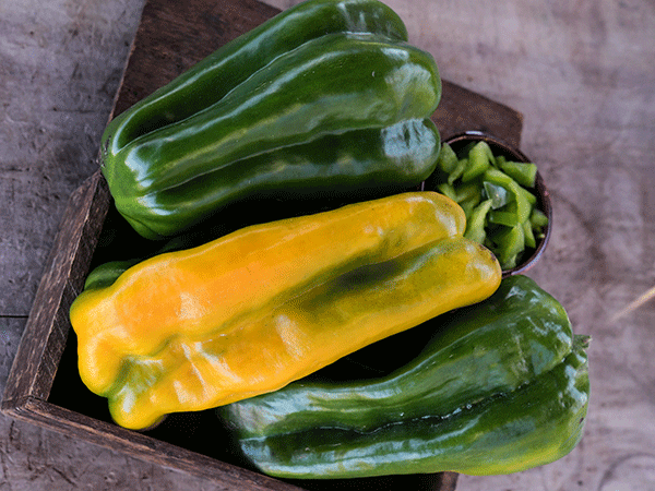 PEPPER 'Yellow Monster'
