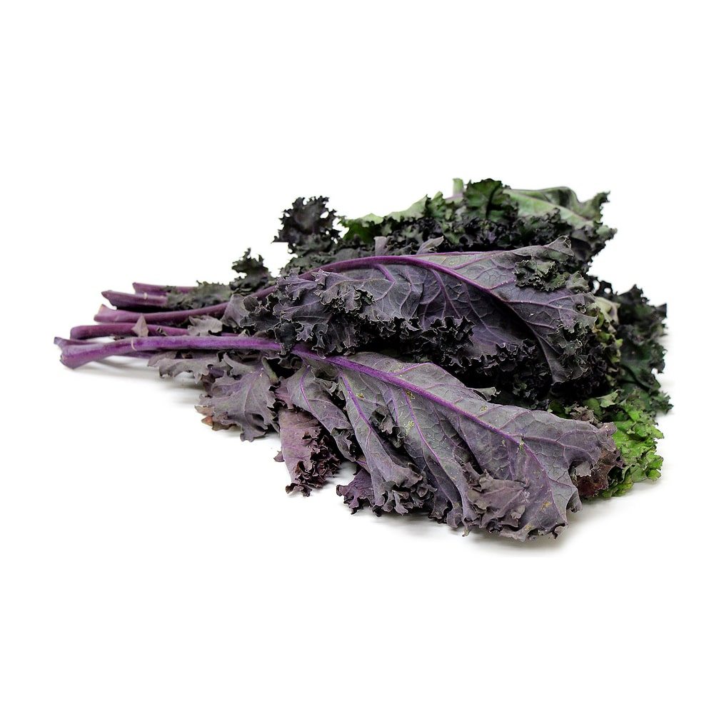 KALE 'Olympic Red'