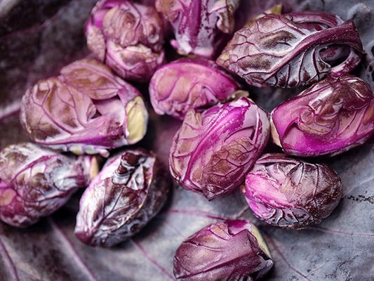 BRUSSELS SPROUT 'Red Rubine'