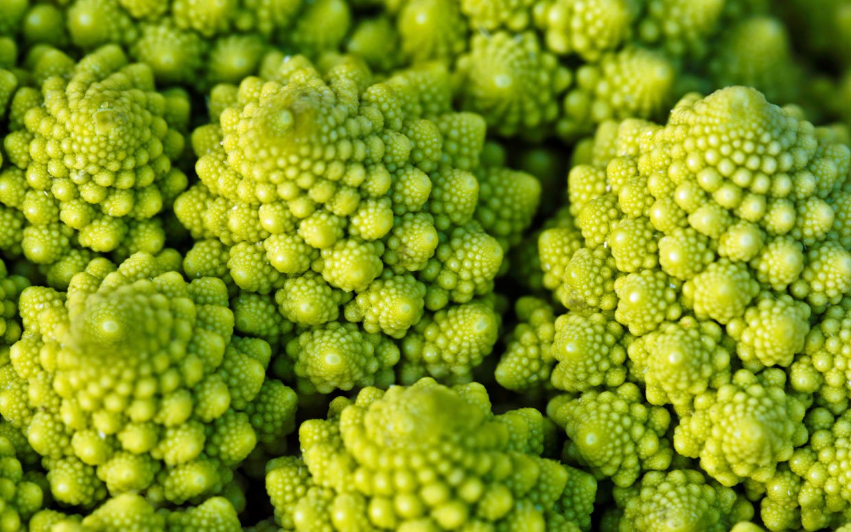BROCCOLI 'Romanesco'