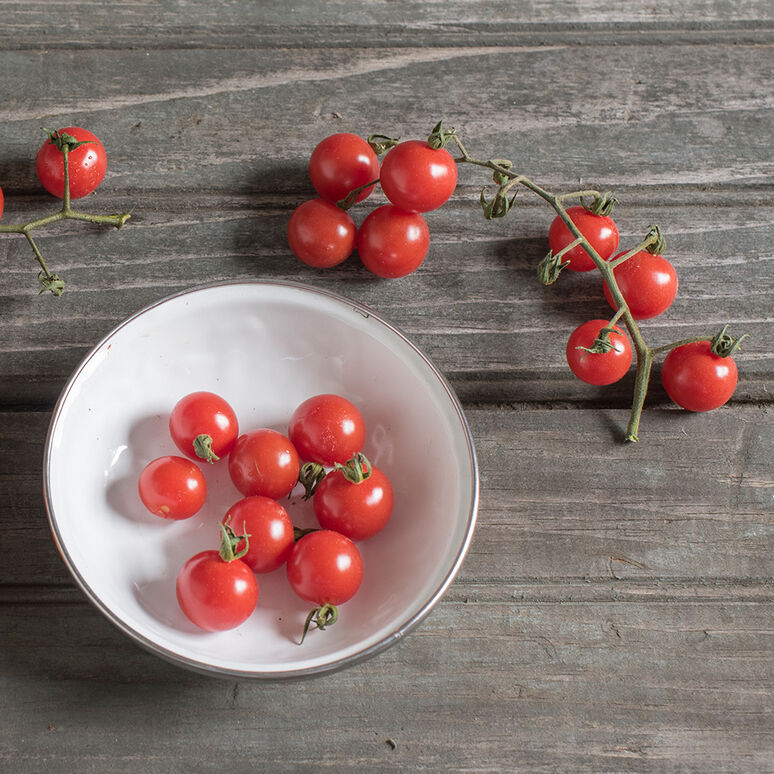TOMATO 'Matt's Wild'