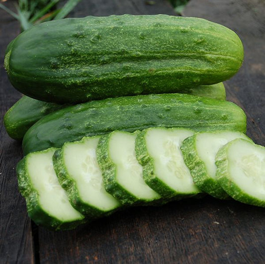 CUCUMBER 'National Pickling'