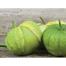 TOMATILLO 'Rio Grande Verde'