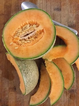 MELON 'Heart of Gold Cantaloupe'