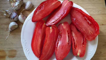 TOMATO 'Opalka Paste'