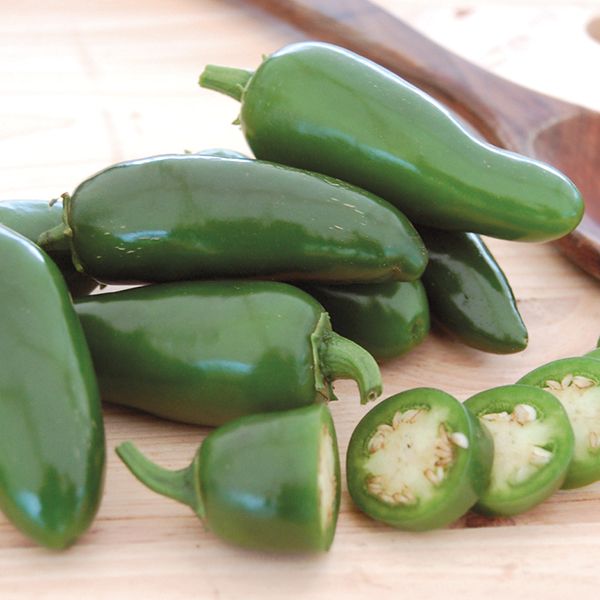 PEPPER 'Early Jalapeño'