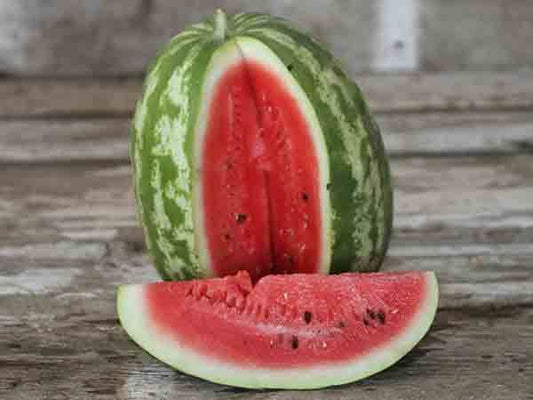 MELON 'Crimson Sweet Watermelon'