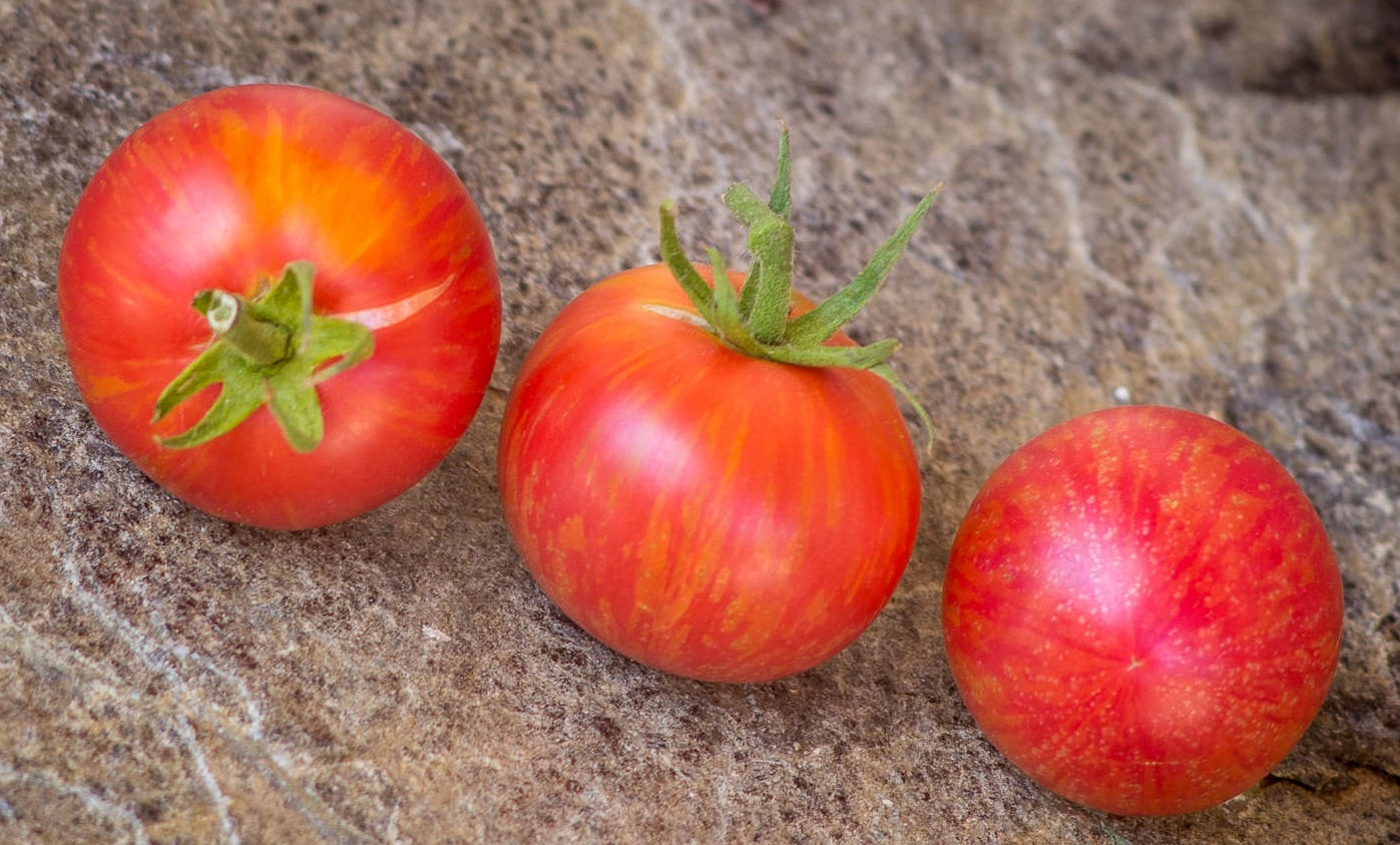 TOMATO 'Sweet Carneros Pink'