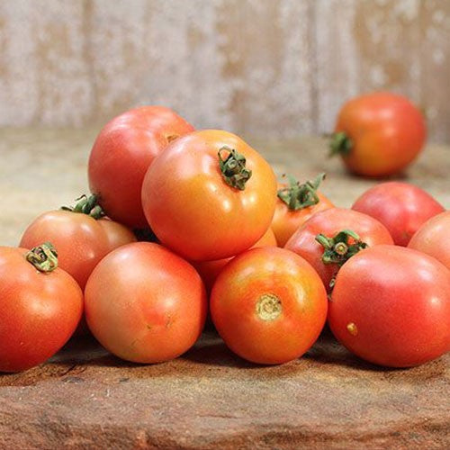 TOMATO 'Raspberry Lyanna'