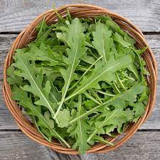 ARUGULA 'Uber' --Eruca vesicaria--