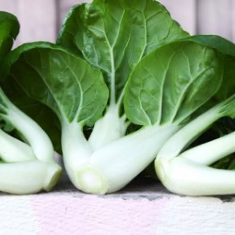 ASIAN GREENS 'Baby Milk Bok Choy'