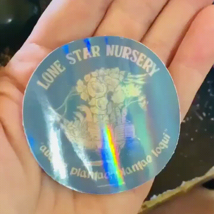 THE PLANTS SPEAK VINYL STICKER - Holographic