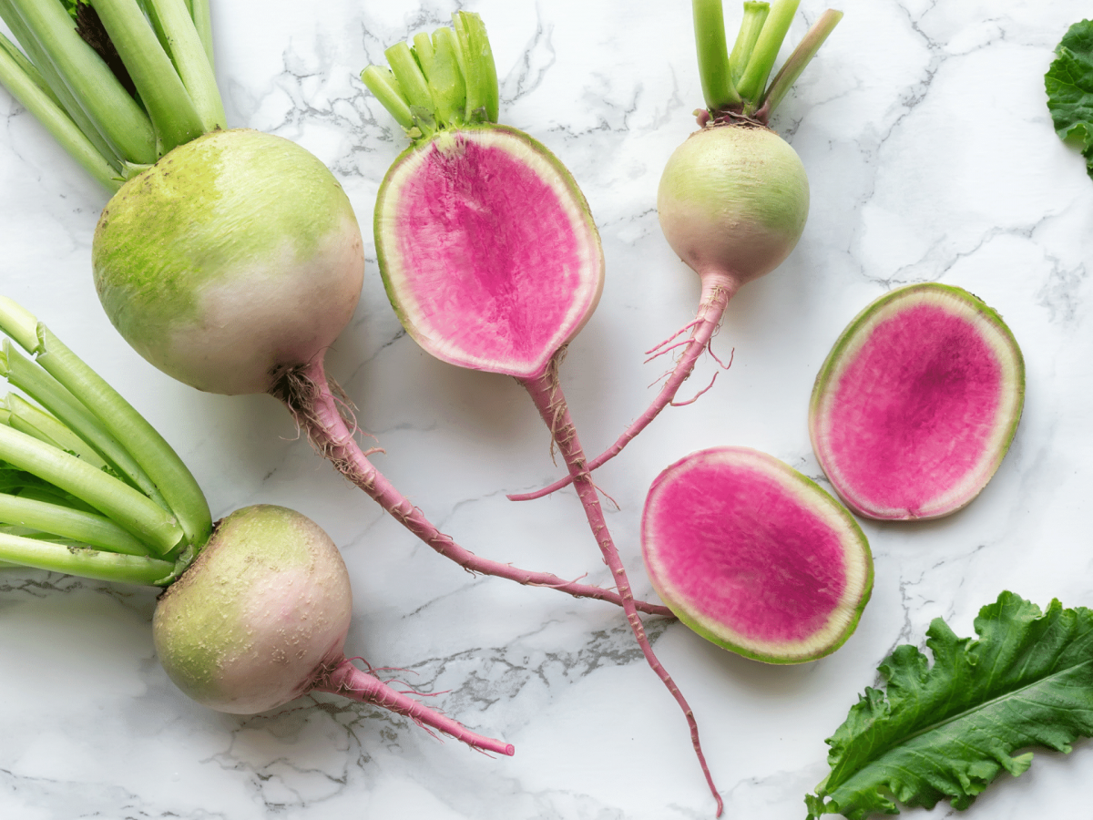 RADISHES 'Watermelon'
