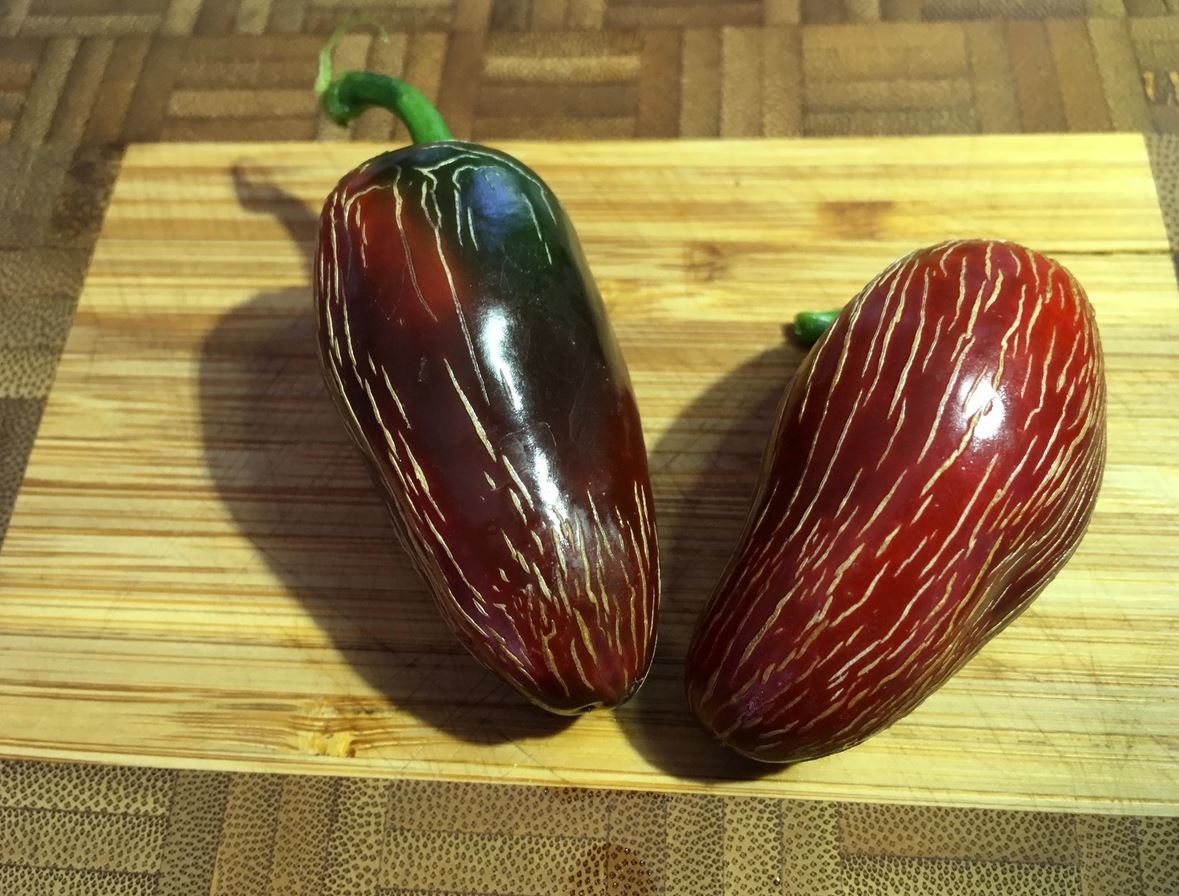PEPPER 'Zapotec Jalapeño'