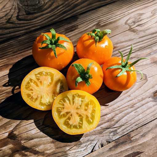 TOMATO 'Sweet Solano'