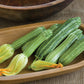 SQUASH 'Costata Romanesco'