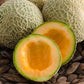 MELON 'Sugar Cube'