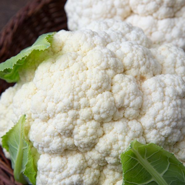 CAULIFLOWER 'Bermeo'