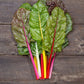 CHARD 'Peacock'