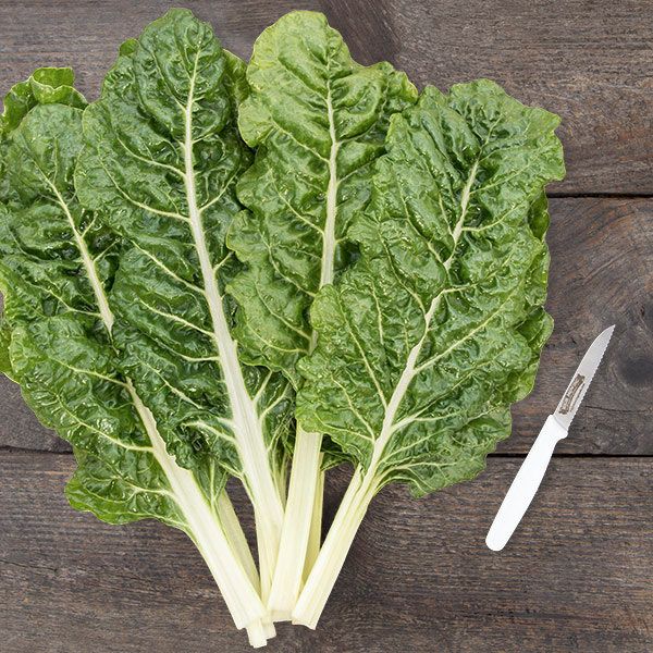 CHARD 'Silverado'
