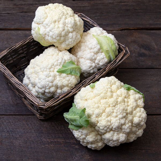 CAULIFLOWER 'Flamenco'