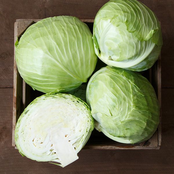 CABBAGE 'Bronco'