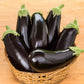 EGGPLANT 'Gaudi'