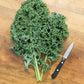 KALE 'Vates'