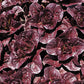 LETTUCE 'Pomegranate Crunch'