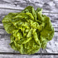LETTUCE 'Kagraner Sommer'