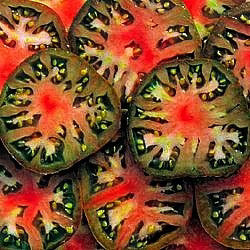 TOMATO 'Black Sea Man'