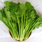 ASIAN GREENS 'Yu Choy Sum Jung Green'