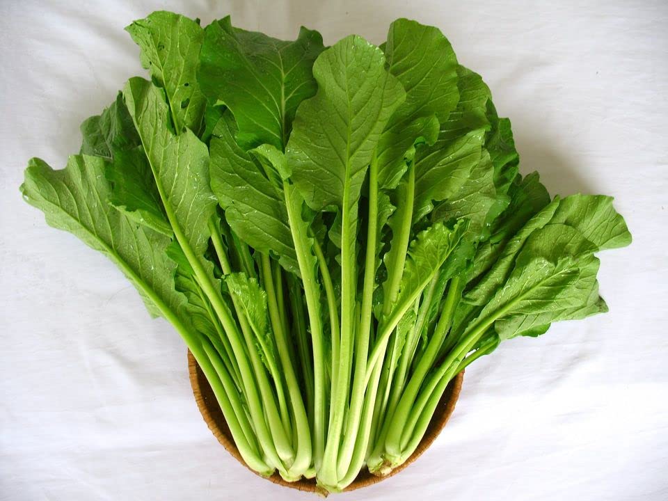 ASIAN GREENS 'Yu Choy Sum Jung Green'