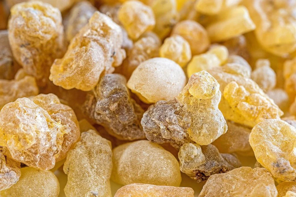 FRANKINCENSE 'True' --Boswellia sacra--