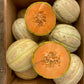 MELON 'Golden Gopher Muskmelon'